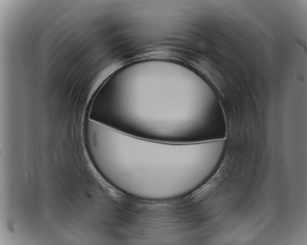 X0000098121426200804040813