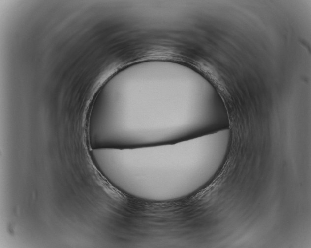 X0000098121427200804040813