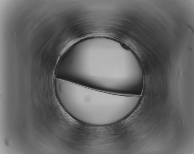 X0000098121428200804040813