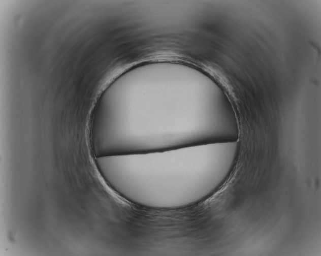 X0000098121429200804040814