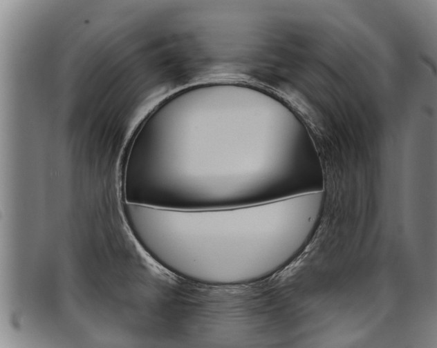 X0000098121430200804040814