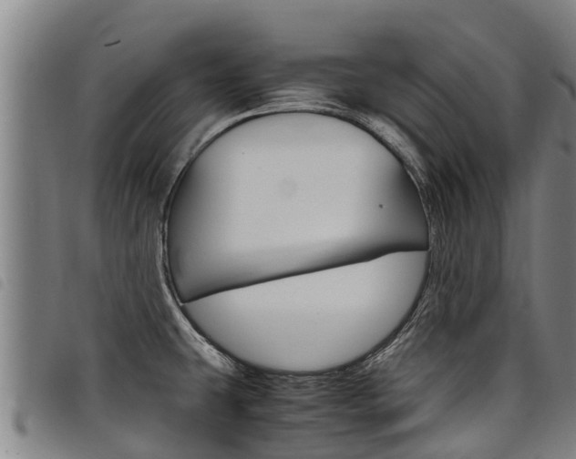 X0000098121431200804040814