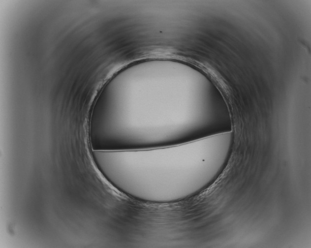 X0000098121432200804040814