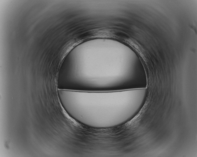 X0000098121433200804040814