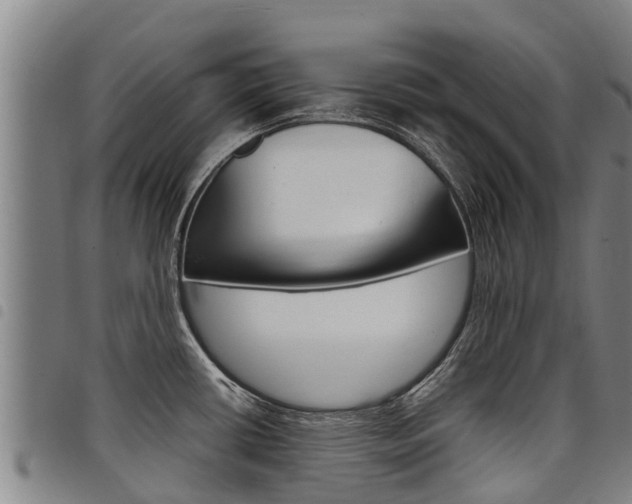X0000098121434200804040814