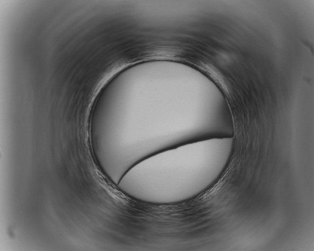 X0000098121435200804040814