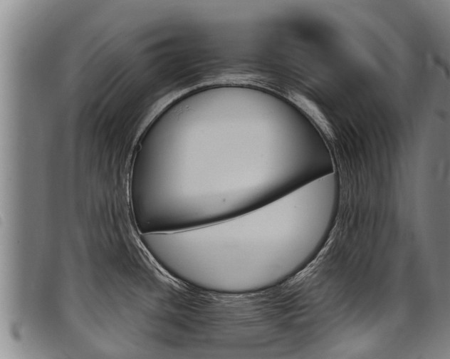 X0000098121436200804040814