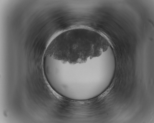 X0000098121438200804040814