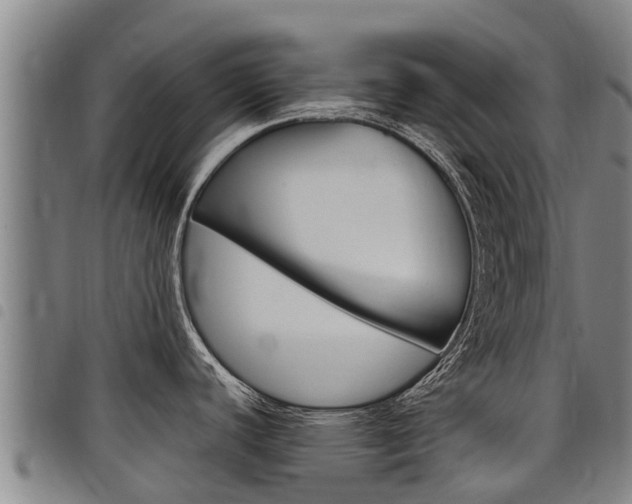 X0000098121440200804040814