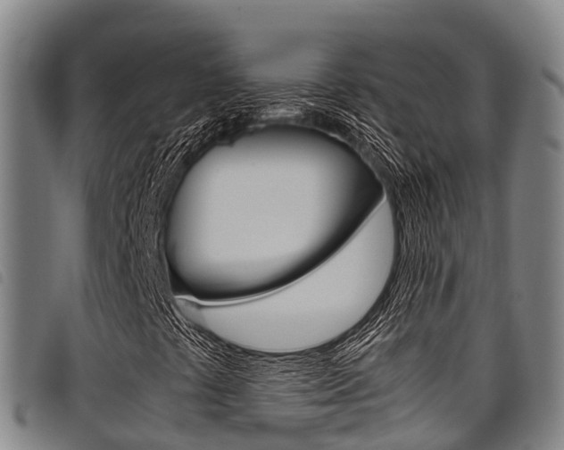 X0000098121441200804040813