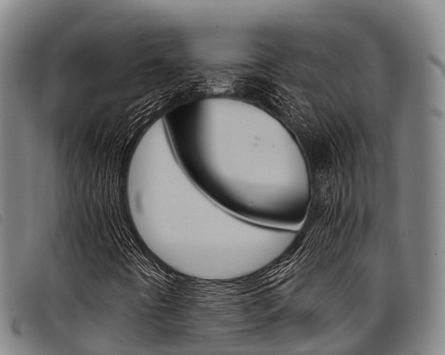 X0000098121442200804040813