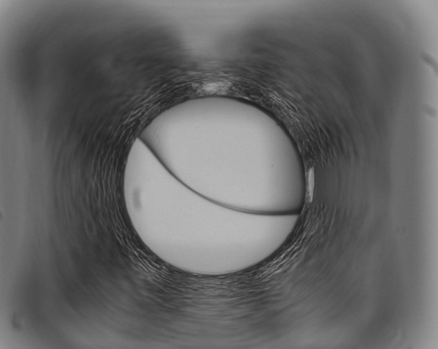 X0000098121443200804040813
