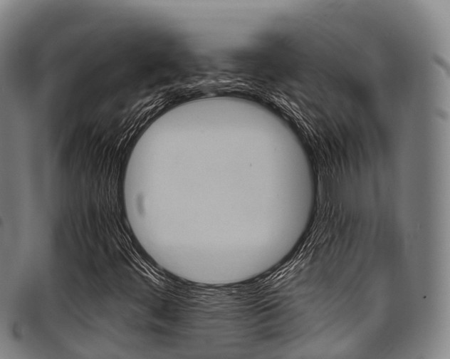 X0000098121444200804040813