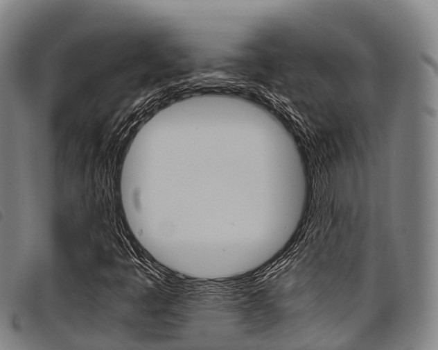 X0000098121445200804040813