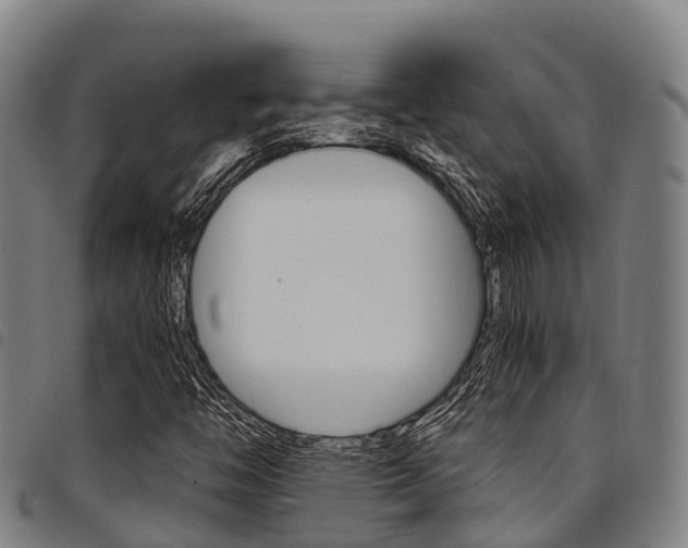 X0000098121446200804040813