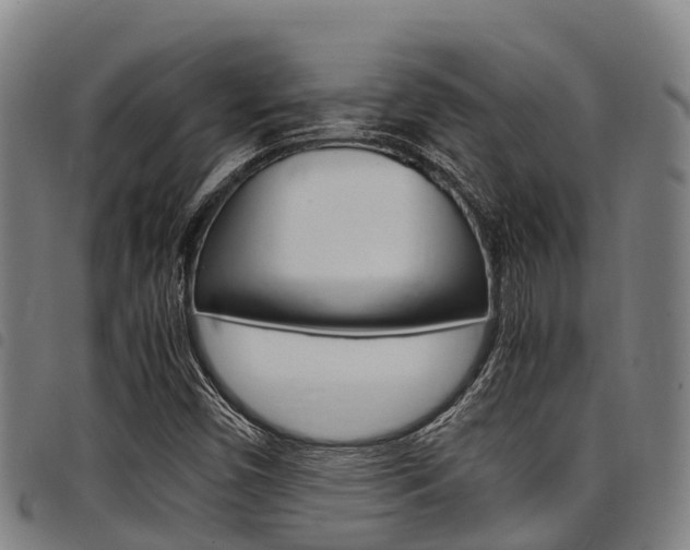X0000098121450200804040813