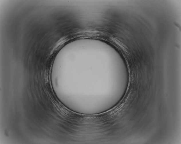 X0000098121451200804040813