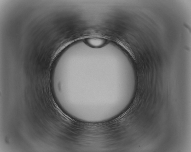 X0000098121452200804040813
