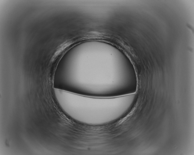 X0000098121453200804040813