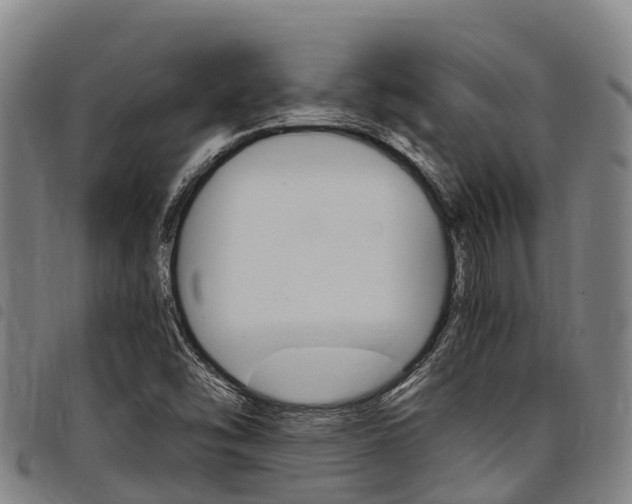 X0000098121454200804040813