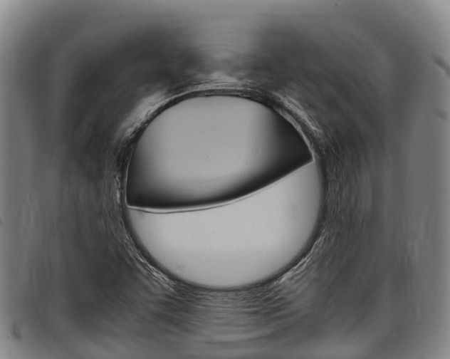 X0000098121455200804040813