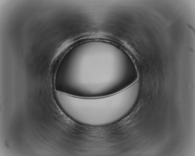 X0000098121456200804040813