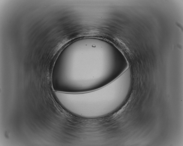 X0000098121457200804040813