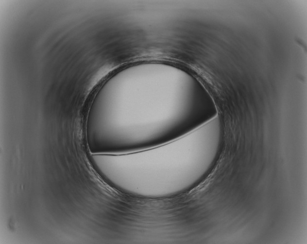 X0000098121458200804040813