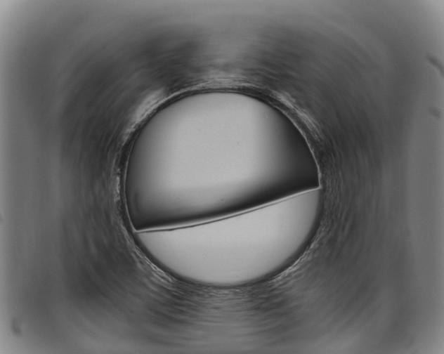 X0000098121459200804040813