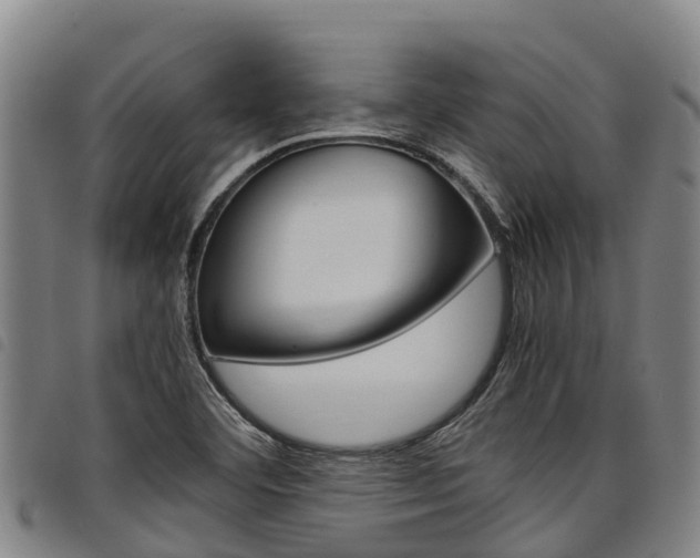 X0000098121460200804040813