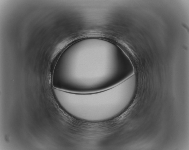 X0000098121461200804040813
