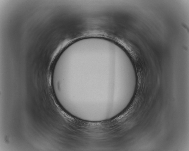 X0000098121462200804040813