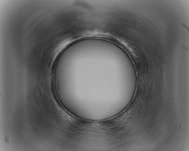 X0000098121463200804040813