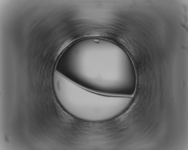 X0000098121465200804040813