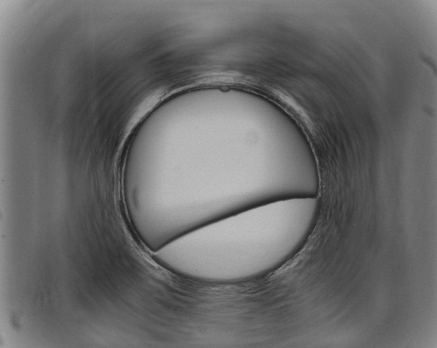 X0000098121467200804040812