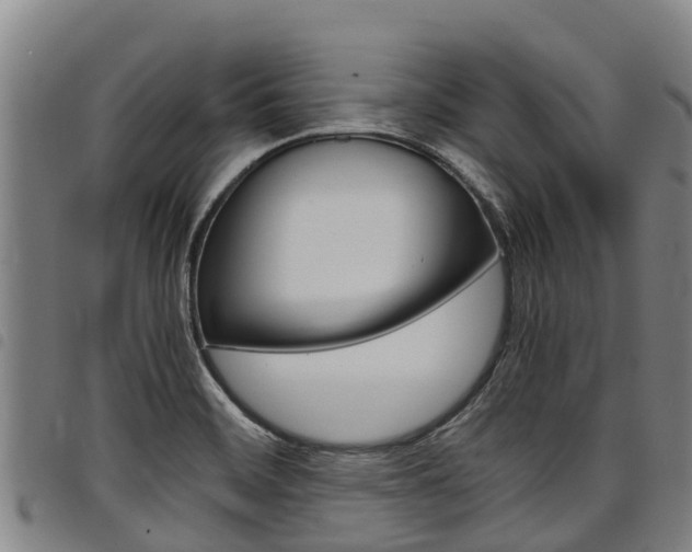 X0000098121468200804040812