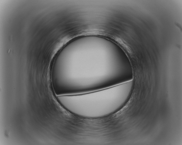 X0000098121469200804040812
