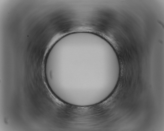 X0000098121470200804040812