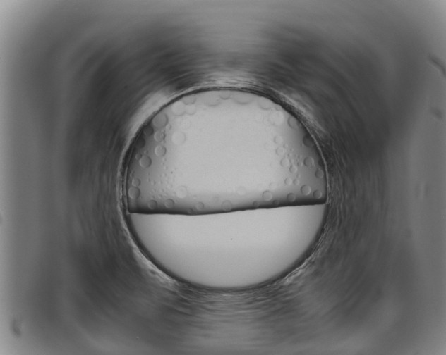 X0000098121471200804040812