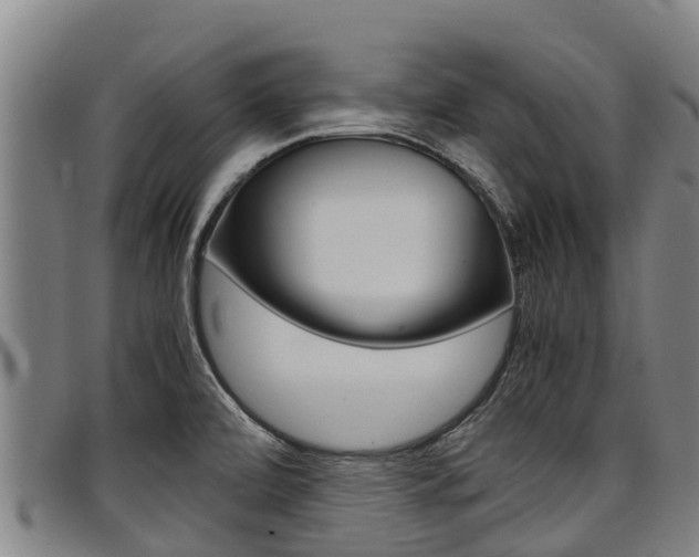 X0000098121472200804040812
