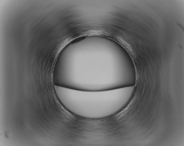 X0000098121473200804040812
