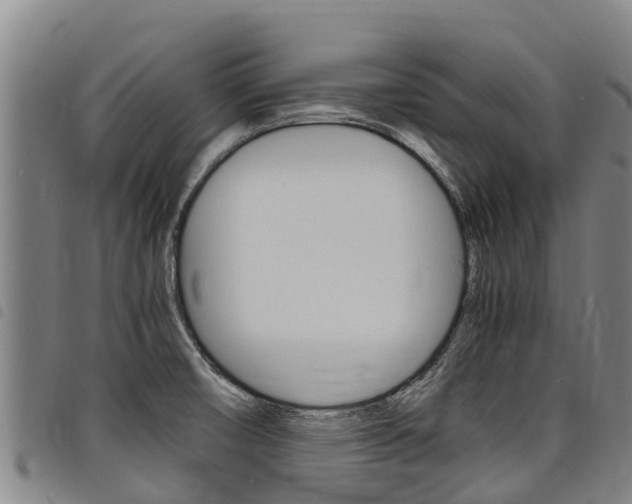 X0000098121474200804040812