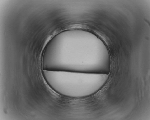 X0000098121475200804040812