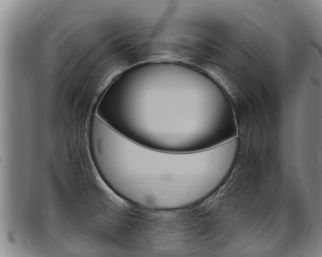 X0000098121476200804040812