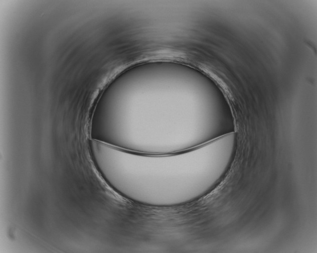 X0000098121477200804040812