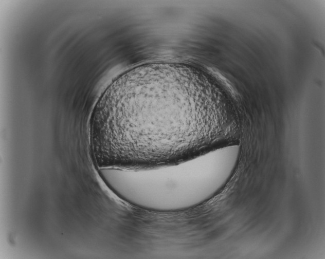 X0000098121479200804040812