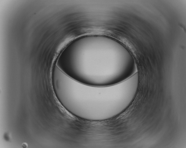 X0000098121480200804040812