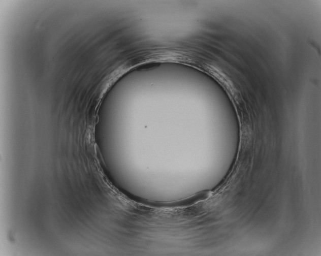 X0000098121481200804040812