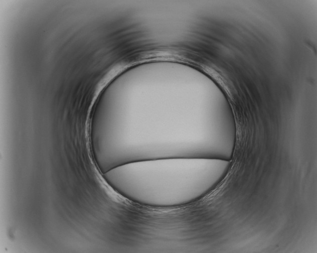 X0000098121482200804040812