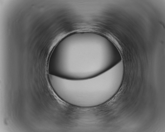 X0000098121485200804040812
